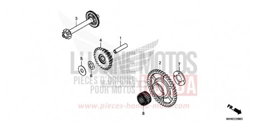 STARTING DRIVEN GEAR CBR650RAK de 2019
